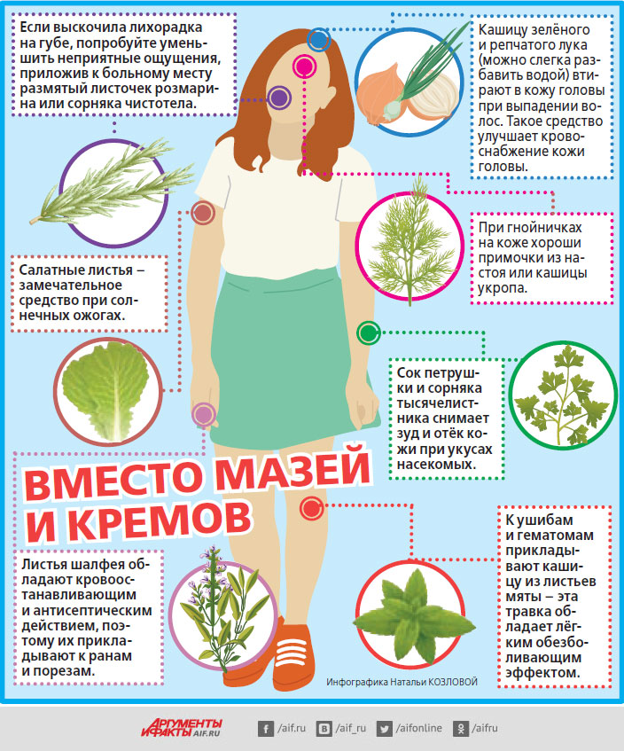 Снадобья с огорода. Какие болезни лечат зелёные овощи? здоровье,лекарственные растения,народная медицина,овощи
