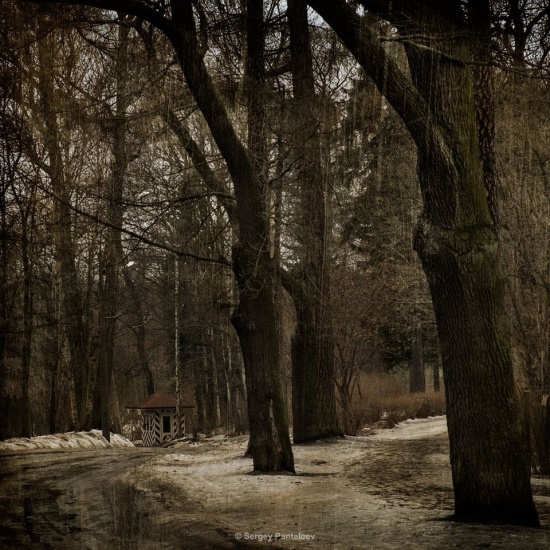 Фотохудожник Сергей Пантелеев. На гранитных берегах Невы Фотохудожник Сергей Пантелеев. На гранитных берегах Невы