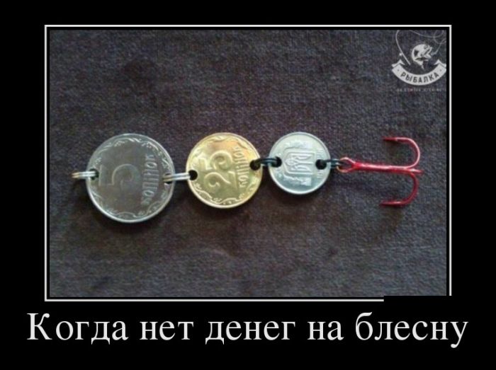 Порция демотиваторов на любой вкус 