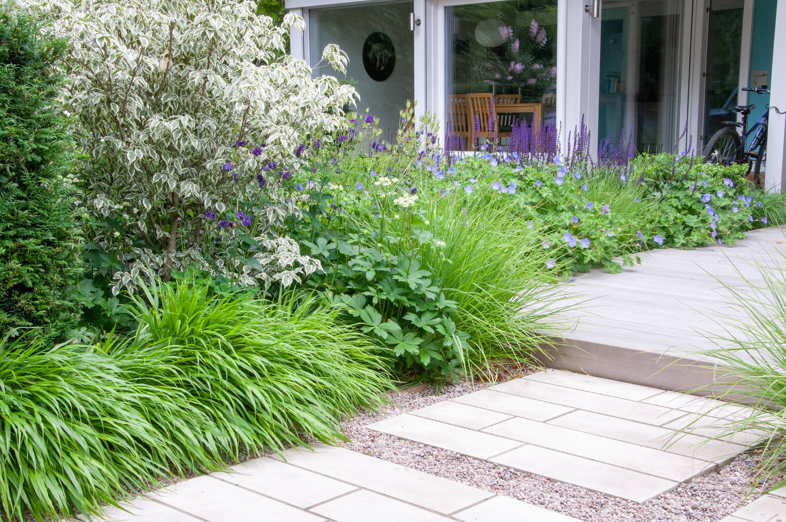 Сад недели: Палисадник перед домом в Лондоне ландшафтный дизайн,садоводство
