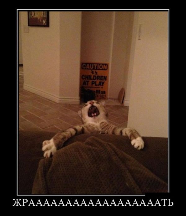 Демотиваторы (30 фото)