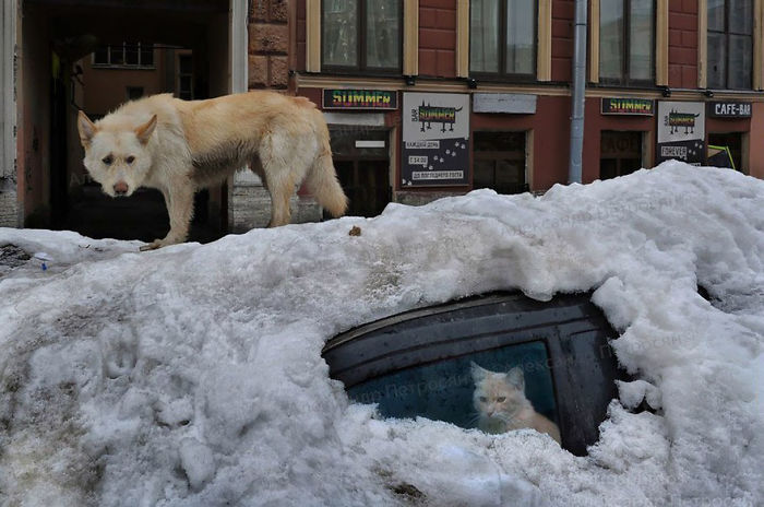 Russia-photography-alexander-petrosyan