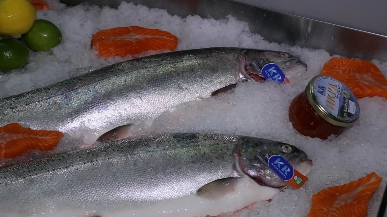 Наркотические вещества из сточных вод могут вызвать зависимость у форели