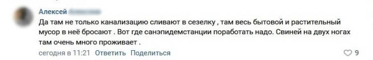 Концы в воду: сельчане в Мордовии сливают канализацию прямо в реку Общество