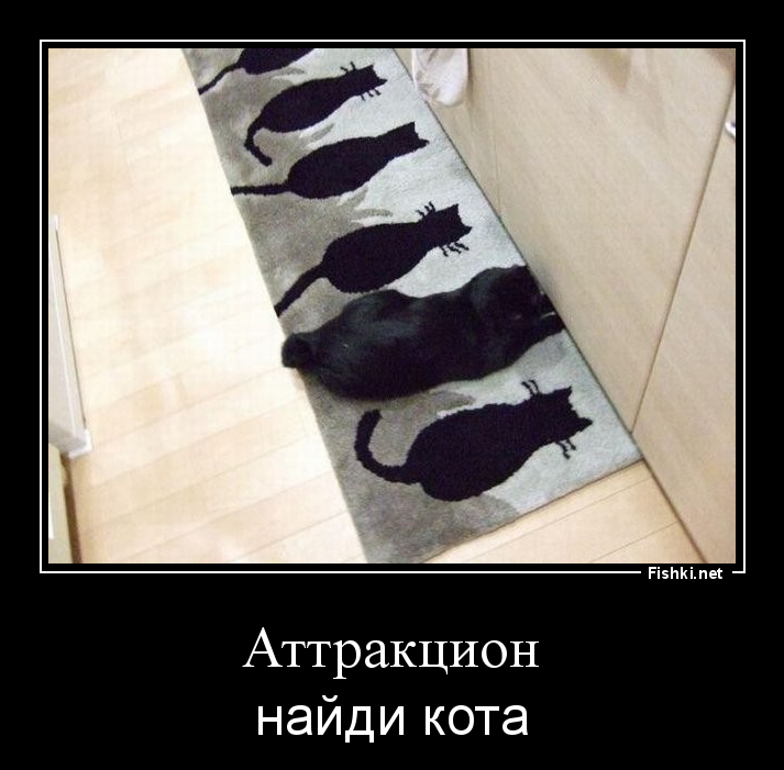 Забавные картинки картинки для хорошего настроения, прикол, юмор