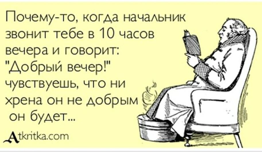 Смешные картинки про директора женщину