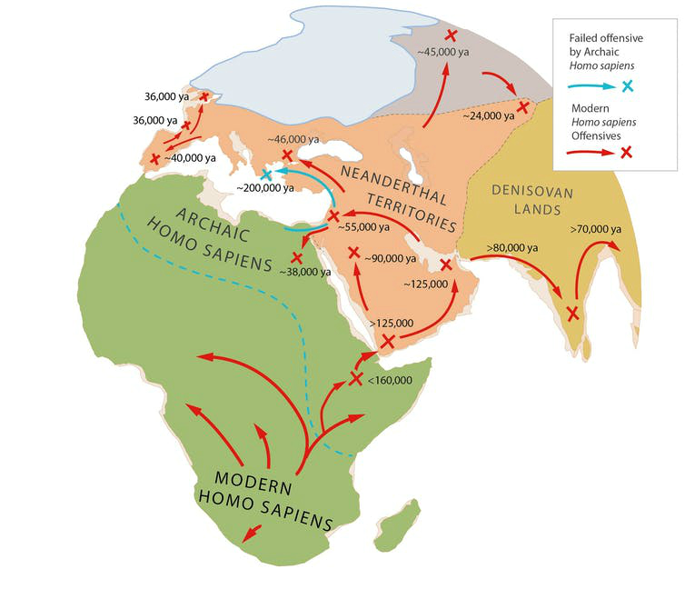 Ученые выяснили, что между людьми и неандертальцами было противостояние, которое длилось почти 100 тысяч лет неандертальцы, Sapiens, более, опасными, неандертальцев, которые, знали, людьми, встречи, опытными, неандертальцами, видом, человек, тысяч, воинами, лучше, понимали, местность, охотиться, мускулистыми