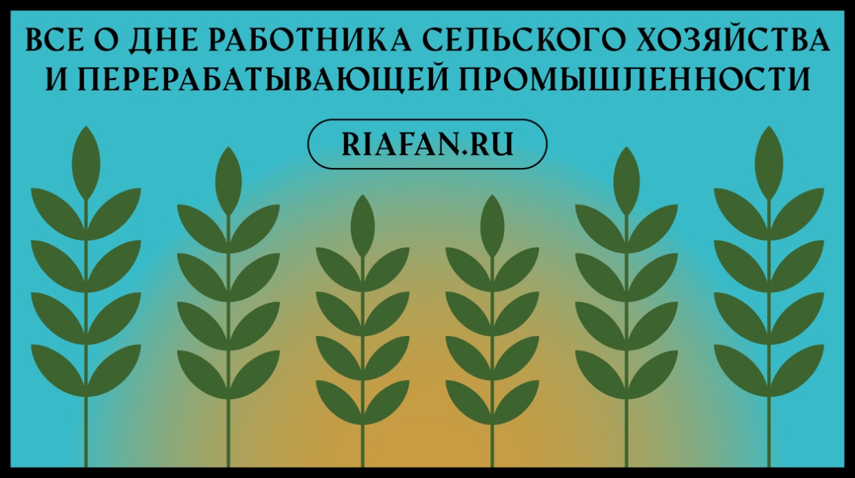 Труженикам села посвящается. История и традиции Дня работников сельского хозяйства