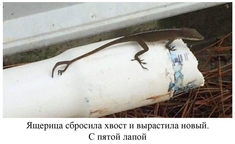 Вы видели всё в жизни? 