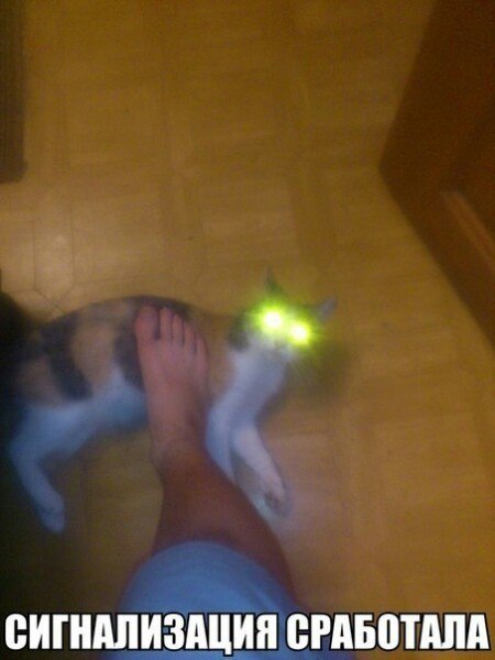 Подборка интересных и веселых картинок №56 Подборка интересных и веселых картинок №56 отдых