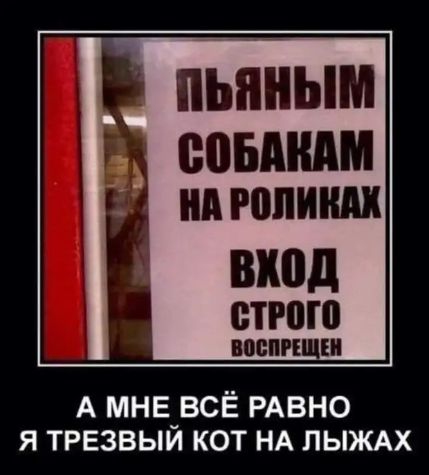 Чёрный юмор - это как еда в Африке, не до каждого доходит 