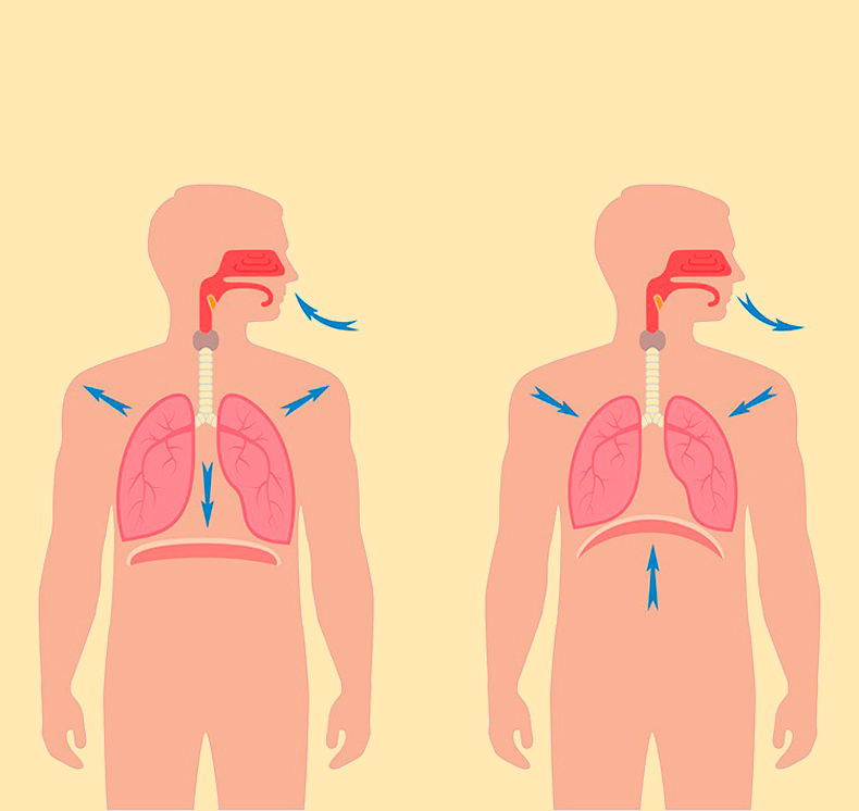 Легендарное оздоровительное дыхание по методу Бутейко