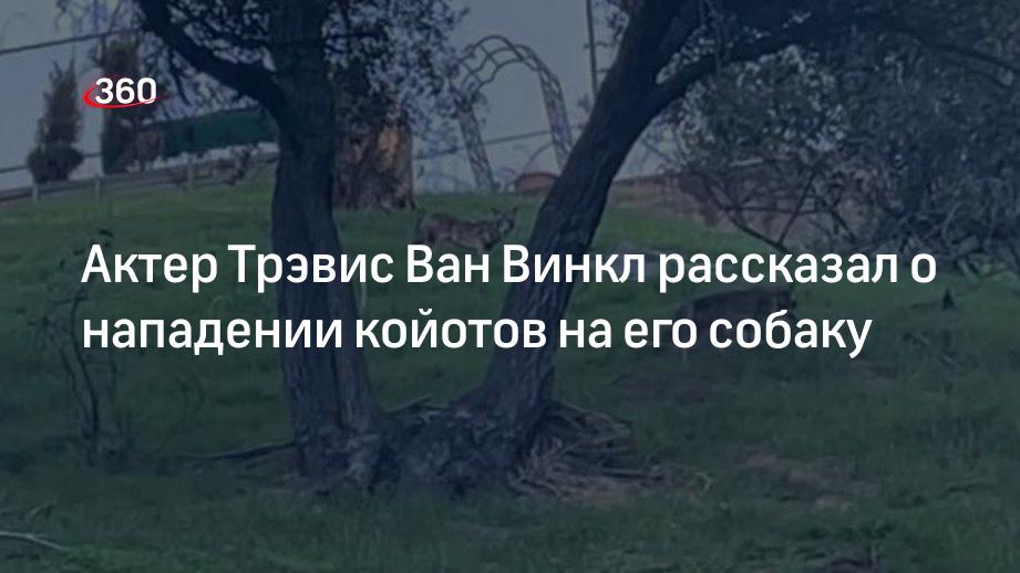 Актер Трэвис Ван Винкл рассказал о нападении койотов на его собаку