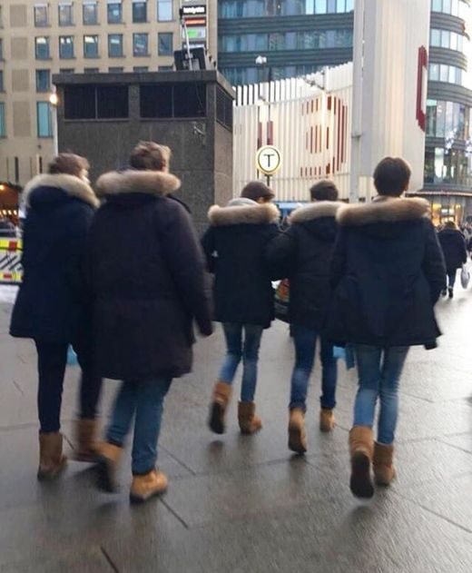 Прикольные картинки и фотки