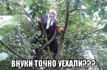 Смехопанорама Писца. Полный улёт!