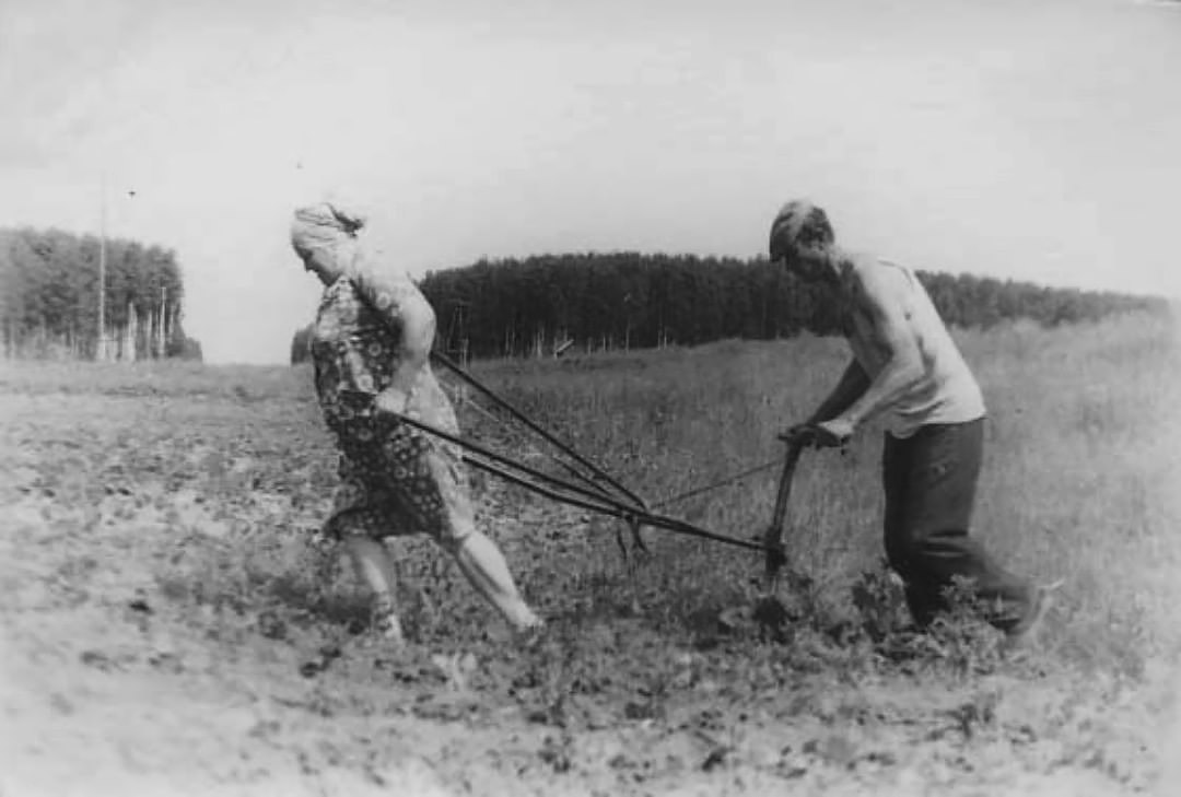 Эксплуатация женщин в СССР. женщин, вручную, женщины, женская, работы, бригада, только, стройка, всего, кирпичи, могли, работ, советской, наверное, советских, совке, думаете, стройке, толкают, кайлом