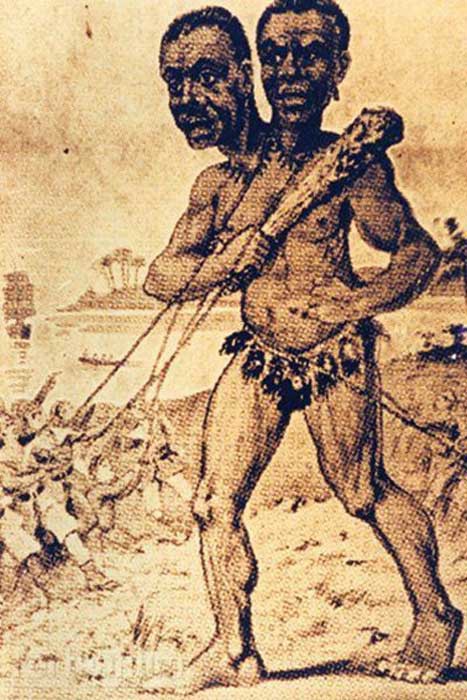 Таинственный двухголовый гигант &quot;Кап-Два&quot;, изображение №4