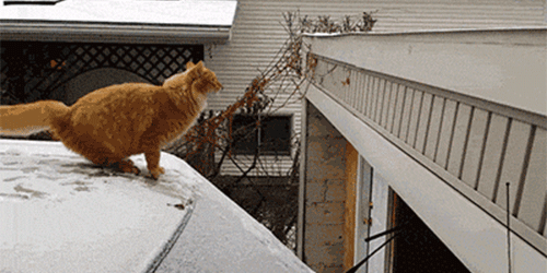 cat 49 Все о прыжках на батуте: <br> что, где и как
