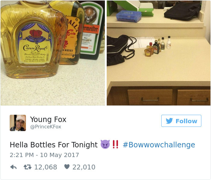 Bow Wow Challenge