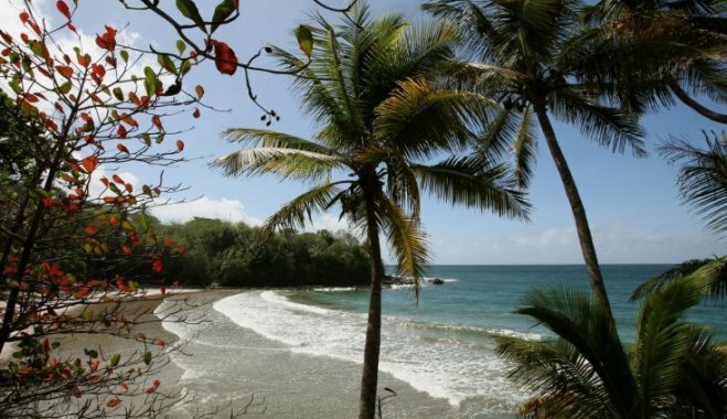 Завоеванные золотом: Как покупались территории других стран Завоеванные золотом: Как покупались территории других стран