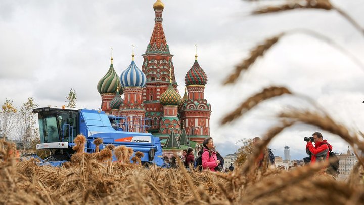 "Русской земле нужен хозяин": Помощь может прийти из... Латинской Америки – отец Андрей Ткачёв