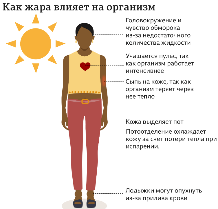 Какая сильная жара. Влияние жары на организм человека. Влияние жары на человека. Симптомы температуры. Жар в теле причины.