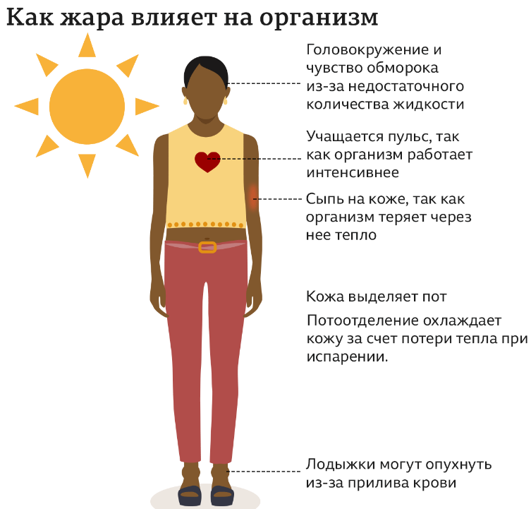 Почему жара. Влияние жары на человека. Как охладить организм в жару. Как помочь организму. Влияние жары и холода на организм.