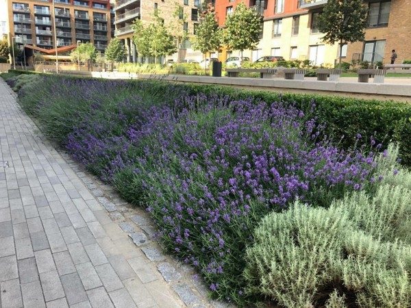 Россиянка Ольга честно рассказала о жизни в Великобритании Россиянка Ольга честно рассказала о жизни в Великобритании великобритания,история,путешествие