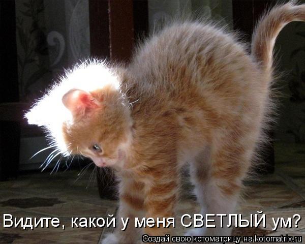 Улыбнись! Улыбнись! демотиваторы