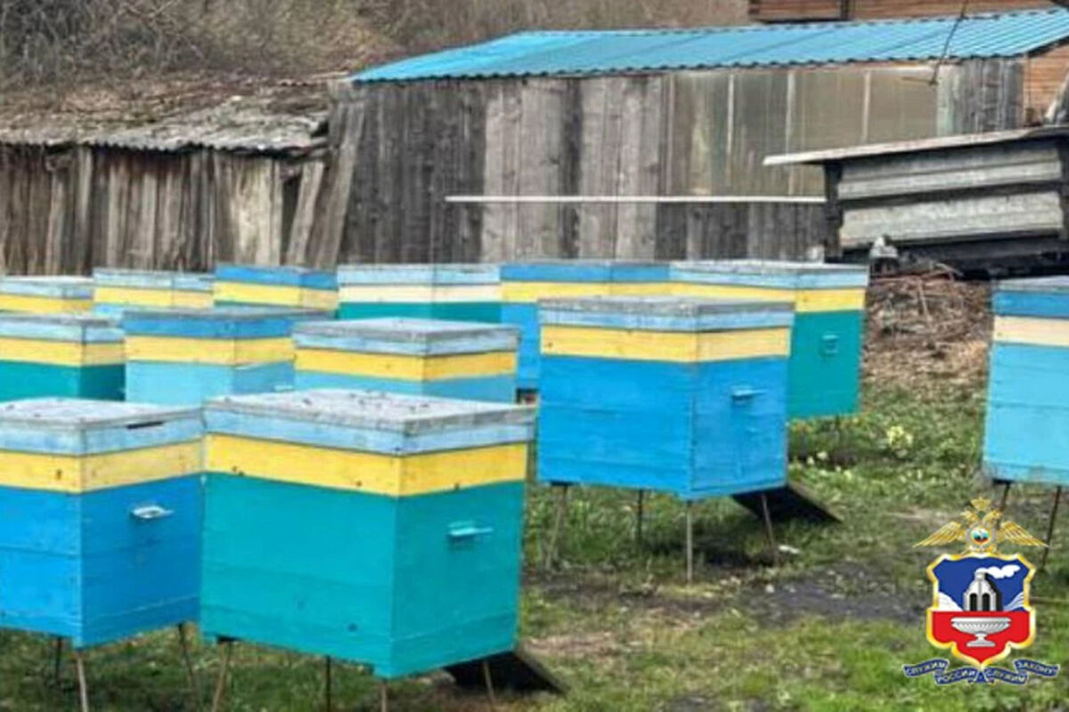 На Алтае подростки украли улей с пчелами, чтобы привезти родителям мед