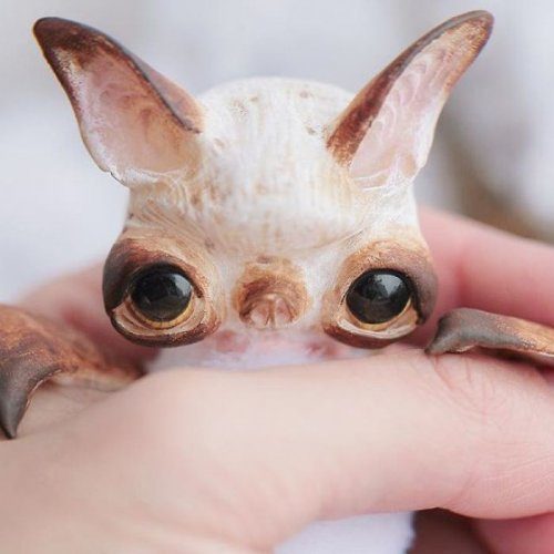 Новые фантастические герои от Анны Назаренко игрушки