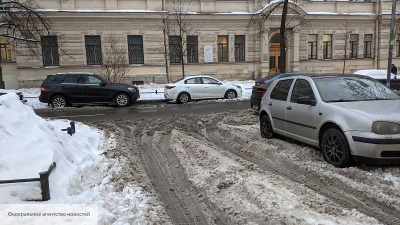 Петербуржцы поблагодарили власти города «за отличную уборку» фразой «снег растаял сам»