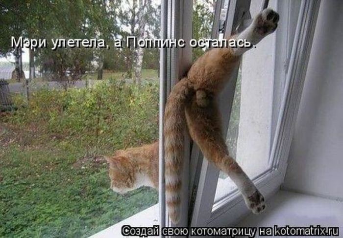 Мысли вслух :)