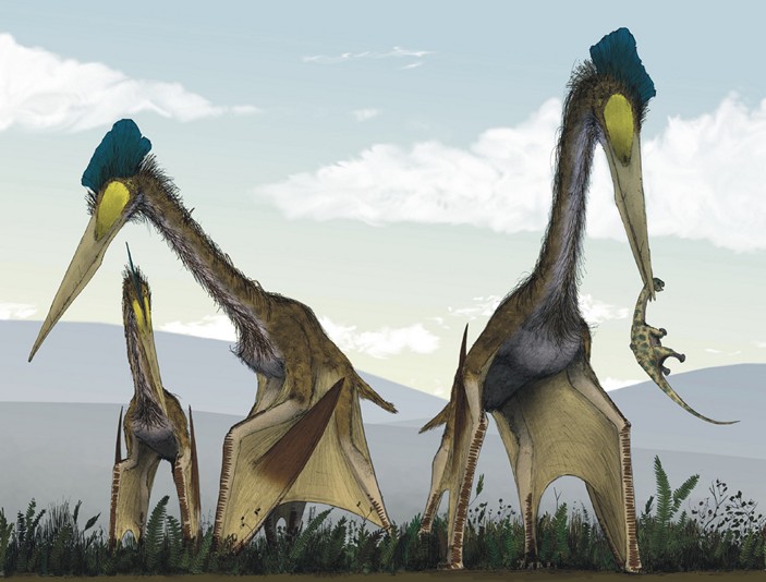 Группа кетцалькоатлей (Quetzalcoatlus northropi) охотится на детенышей титанозавров в доисторических пампасах Южной Америки. Рисунок из статьи M. P. Witton, D. Naish, 2008. A reappraisal of Azhdarchid pterosaur functional morphology and paleoecology