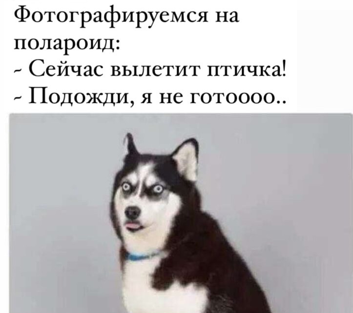 Забавные анекдоты, убойные шуточки в картинках и веселые картинки Забавные анекдоты, убойные шуточки в картинках и веселые картинки