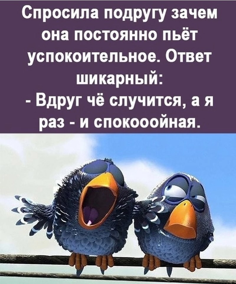 Купил умный утюг. Полдня рассуждали с ним о смысле жизни Купил умный утюг. Полдня рассуждали с ним о смысле жизни Купил, история , будем, сервисов, российских, других, многих, белого, Красного, Правда, меня , успокоительный, прям , напоследок , делать, бесит, сбора, этого, запах, пачку