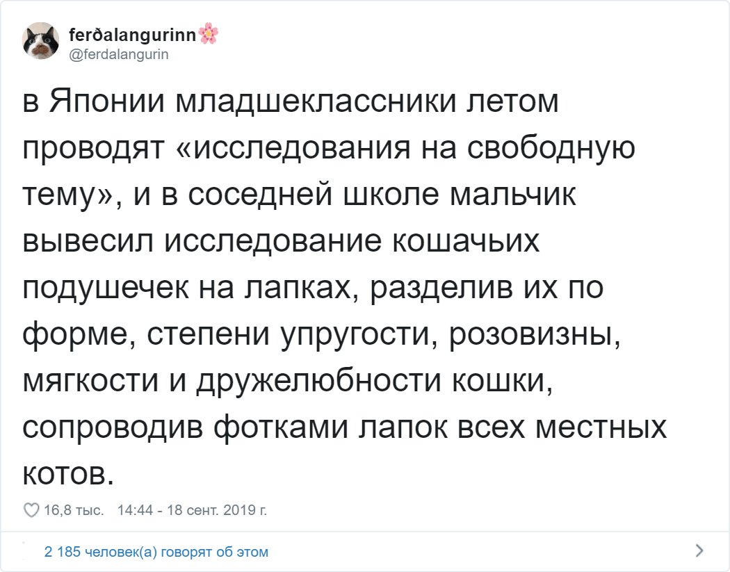 Девушка из России живёт в Японии и рассказывает об этой стране так, как не сумеет ни один гид жизнь,интересное,япония