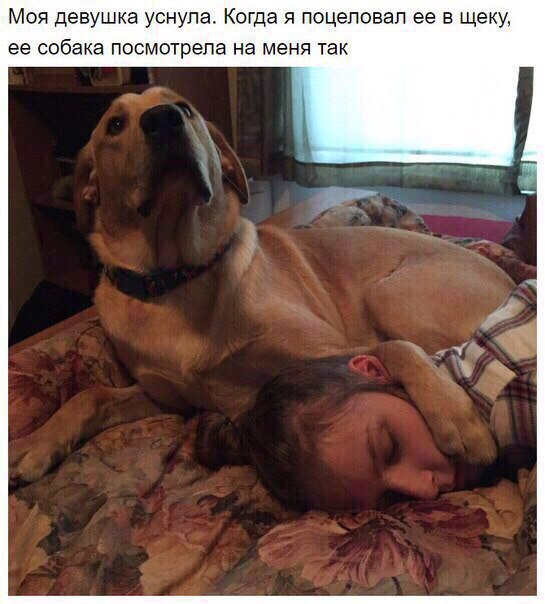 Позитивные картинки и фотографии Позитивные картинки и фотографии