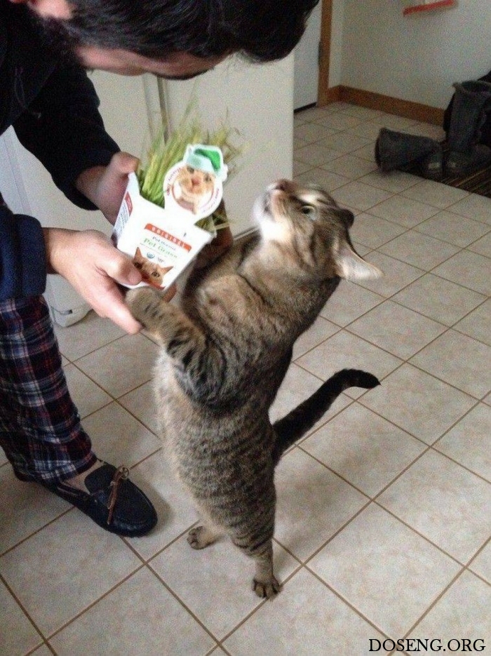 Прикольные картинки