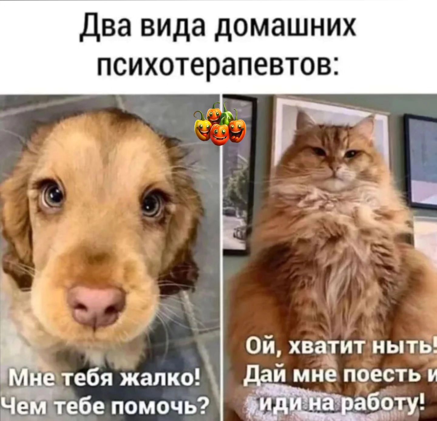 Весна, хочется влюбиться, но жена и теща против... Весна, хочется влюбиться, но жена и теща против... Скандинавские, лениным, новых, сапогах, юностью, облаках, небом, мешке, котом, майне, франкфуртом, разливе, незнайкой, палки, кухне, хозяйкой, должна, Женщина, палками, ходишь