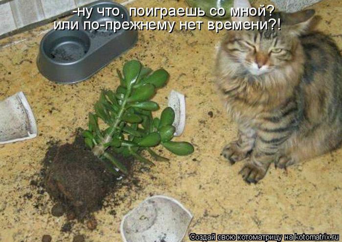 Дебоширы