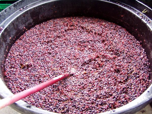 Рецепты легких вин из винограда для начинающих: петио, сухое и самое простое оставляют, этого, виноград, переливают, прохладном, брожения, ягоды, бродить, месте, аккуратно, емкость, осадок, месяц, виноградное, можно, сделать, около, приготовления, чтобы, белый