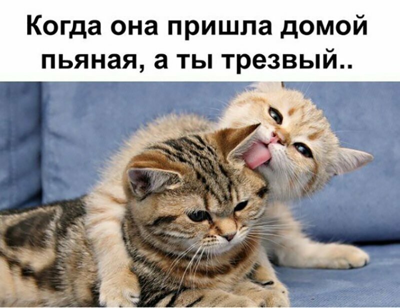 Картинки с надписями о примирении, января