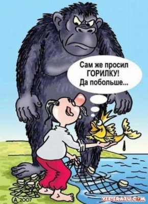 Забавно (40фоток)