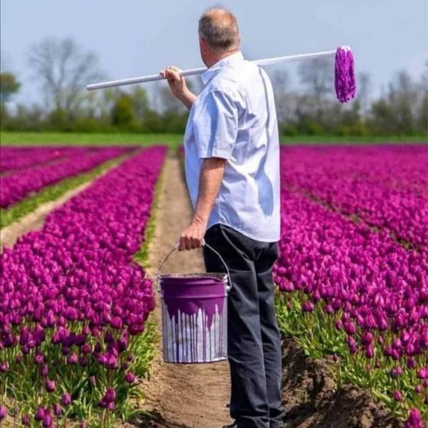 Подборка прикольных картинок  приколы,смешные картинки,юмор