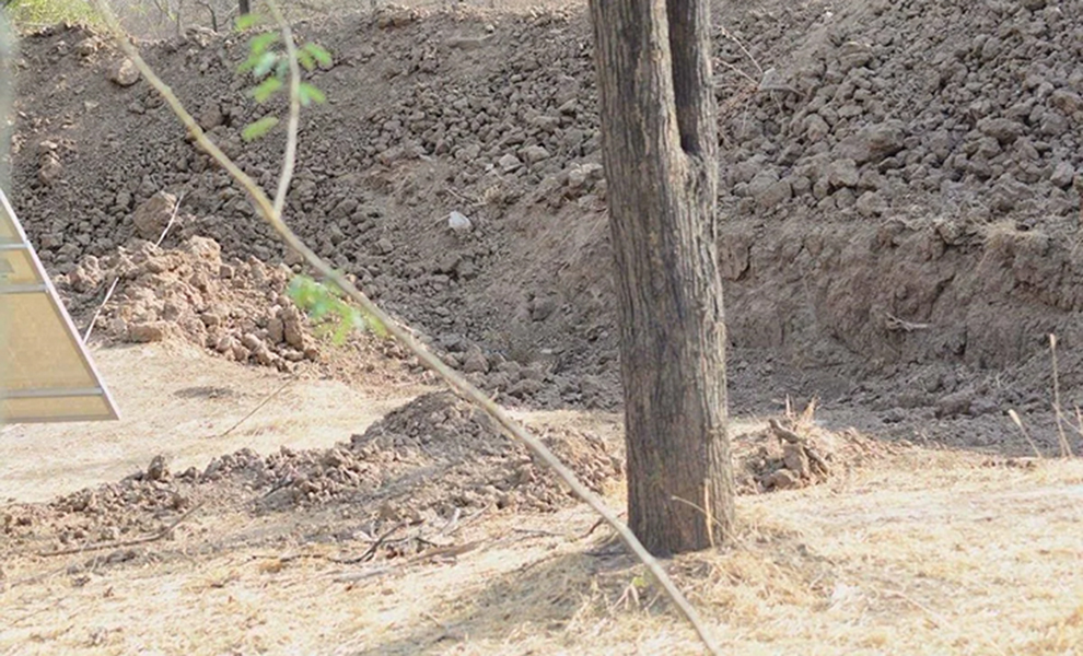 Фотограф утверждает, что снял леопарда, но на снимке никто не может найти животное