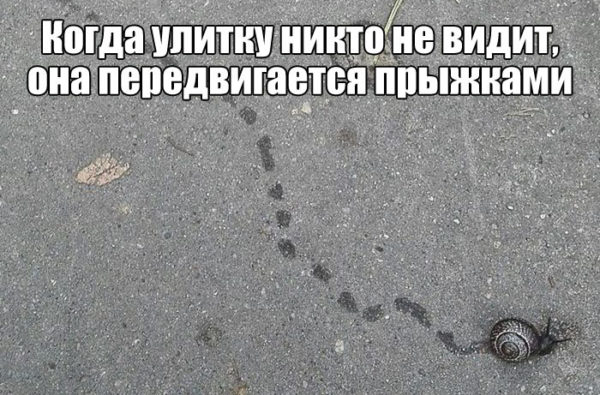 Про тамаду Про тамаду