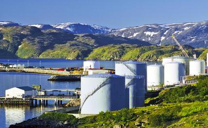 Польша-Норвегия: «петушиные наскоки» на любителей селедки