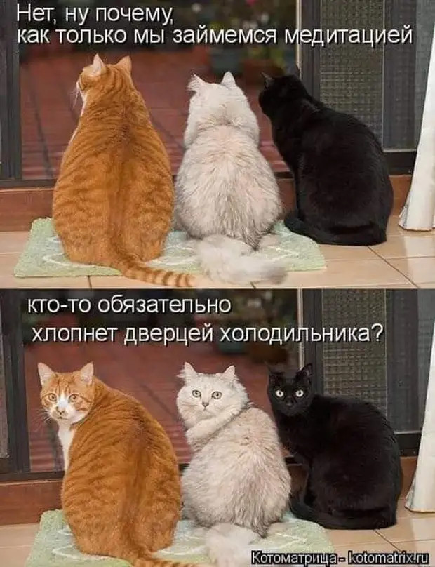 Только первая бутылка винишка стоит дорого, а потом цена не имеет значения Только первая бутылка винишка стоит дорого, а потом цена не имеет значения Когда, когда, спрашивает, шепотом, знaком, хранит, только, будет, теперь, выходит, баксов, вопрос, самых, ударить, РаздевайтесьОна, охрип, температура, Приходит, приём, голова