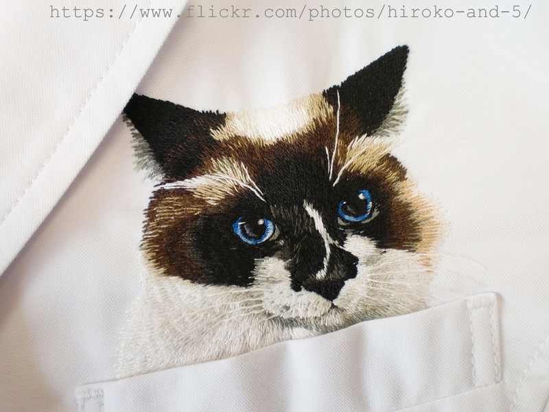 Искусная вышивальщица подсаживает котиков в карманы своего сына вышивка, котики, рукодельница, япония